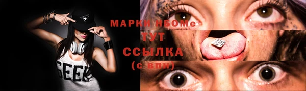дмт Новозыбков