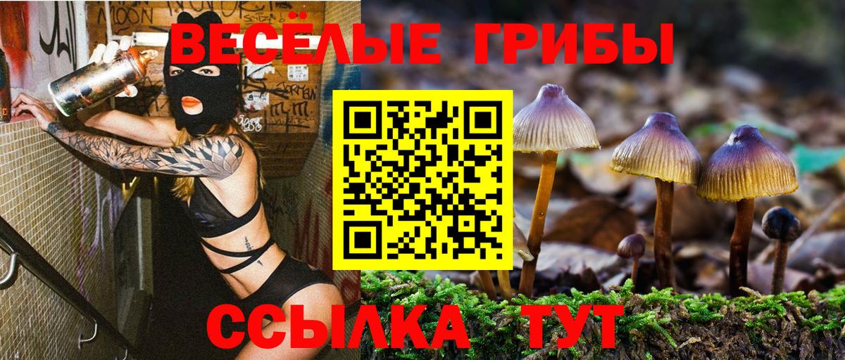 Галлюциногенные грибы MAGIC MUSHROOMS Балабаново